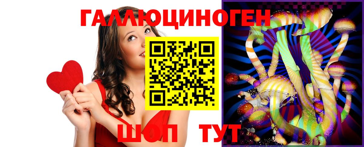 Псилоцибиновые грибы GOLDEN TEACHER Нижнеудинск